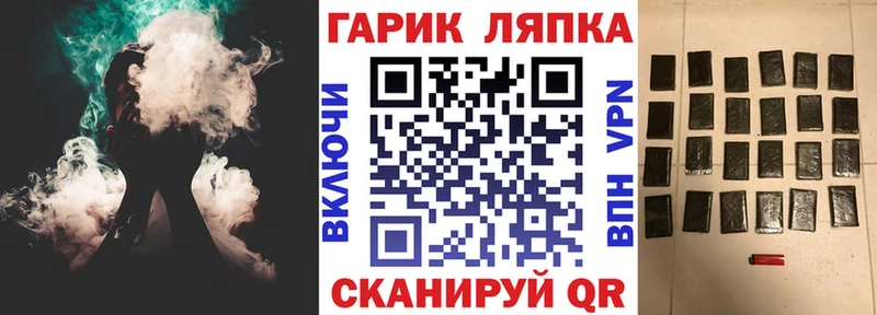 ГАШ VHQ  Сольцы 