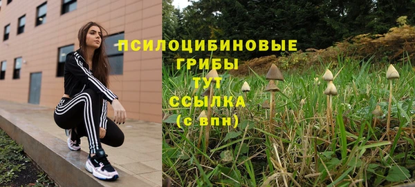 молекула духа Беломорск