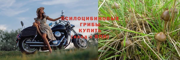 мдпв Ростов