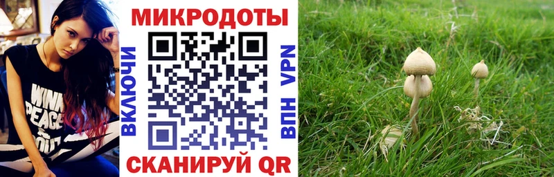 Галлюциногенные грибы прущие грибы  Сольцы 